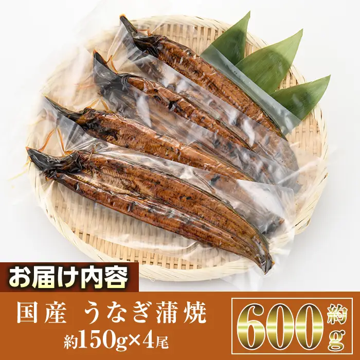 国産 うなぎ 蒲焼 (約150g×4尾) 鰻 タレ かば焼き うな重 うな丼 ひつまぶし 小分け 真空包装 真空パック 【AW-94】【丸正水産】