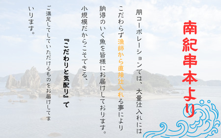 和歌山県産 天然 キハダマグロ 約600g / まぐろ 鮪 キハダマグロ 海鮮 魚貝 魚　【tcr002B】