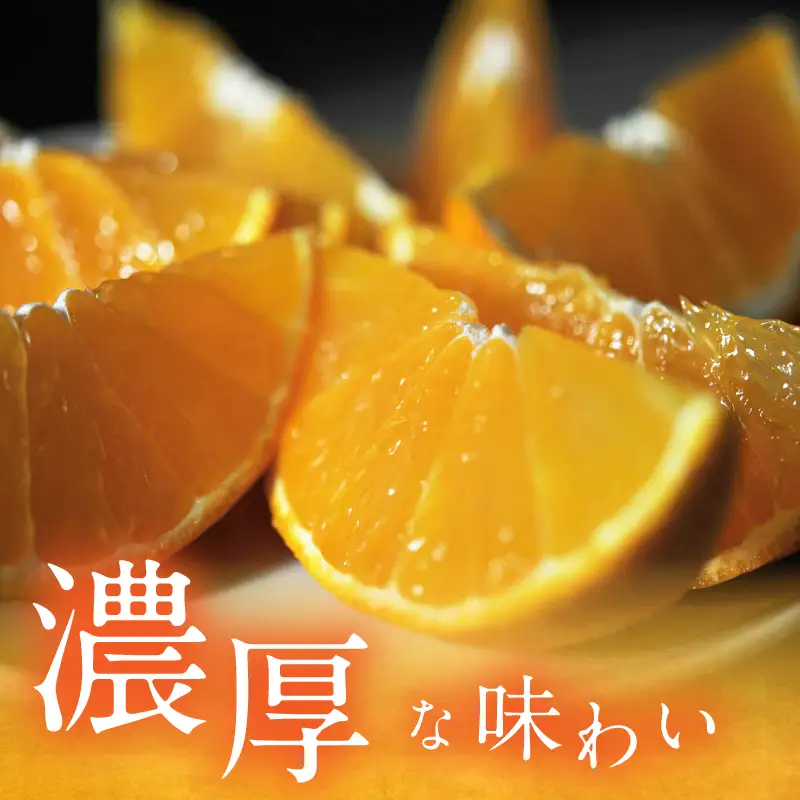 【先行予約】マルハ果樹園 プレミアムまどんな（家庭用）2L～M 12～16玉