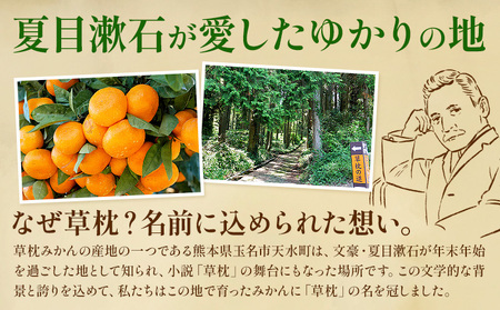 草枕みかん 約4kg 《11月上旬-12月上旬頃出荷》熊本県 玉名郡 玉東町 フルーツ 柑橘 みかん ミカン 草枕 デザート 送料無料