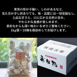 訳あり市田柿 10kg