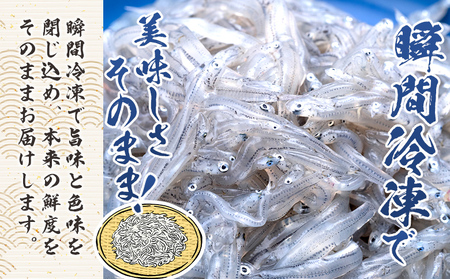 生しらす(どろめ) 100g×8袋 どろめ nz-0093