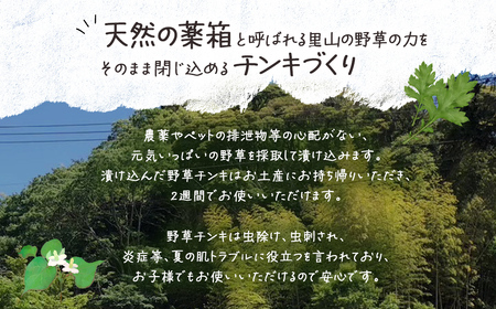 W01803 野草で遊ぼう　野草チンキと身体に優しい軽食つき ふるさと納税 野草 チンキ 体験 自然 自然体験 千葉県 大多喜町