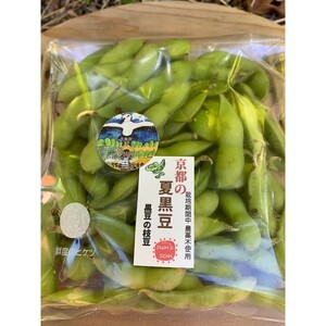 【数量限定】京都夏黒枝豆さや 500g（250g×2パック）（2027年7月中旬～発送） 枝豆