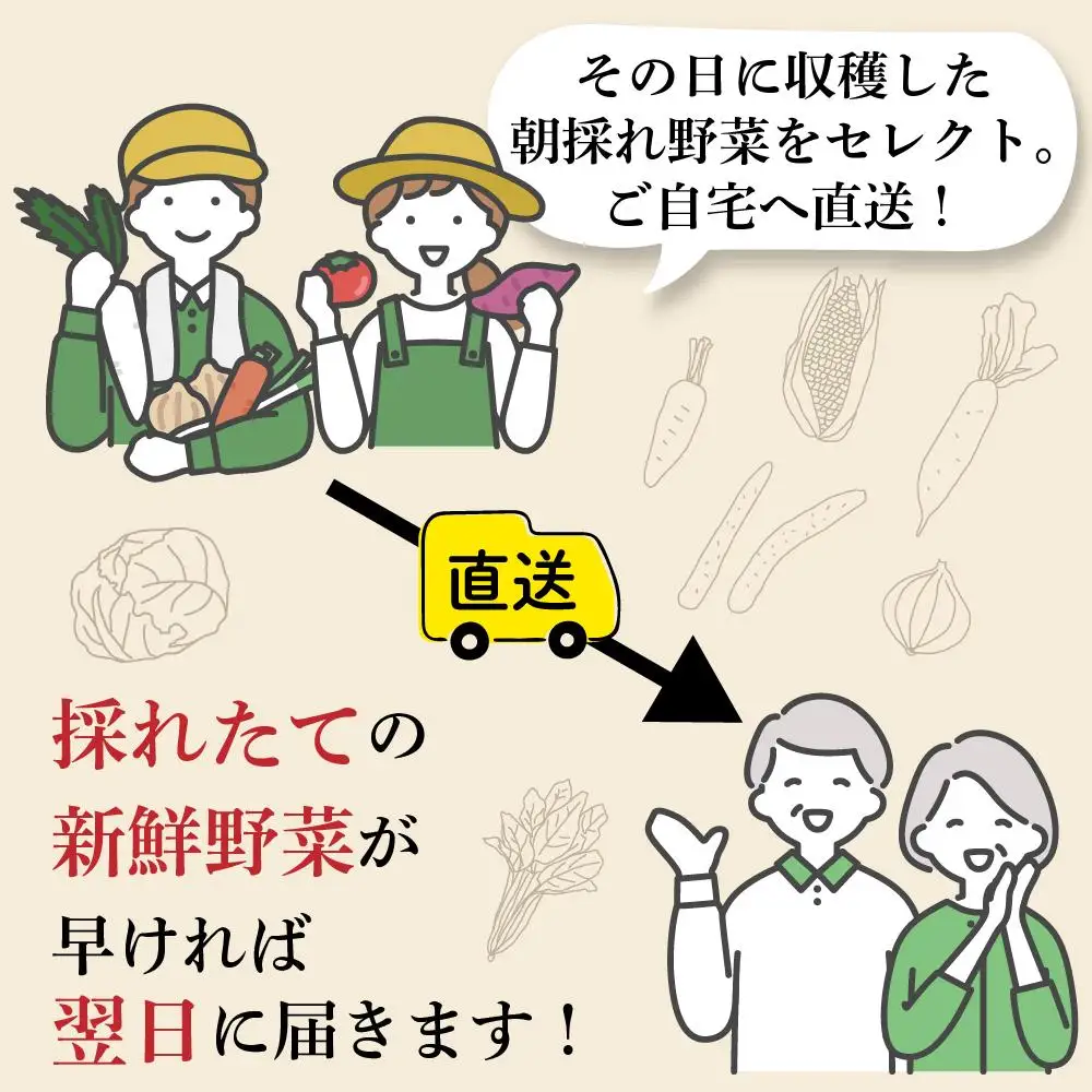 【３か月定期便】東京唯一の道の駅八王子滝山から、新鮮野菜のセットをお届け