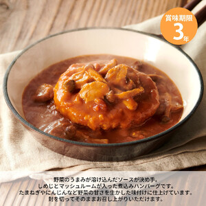 【3年保存】 長期保存食 イザメシ 煮込みハンバーグ 18個/1ケース 非常食 保存食 備蓄食 防災 防災用品 パウチ 備蓄 災害対応食 食品 災害食 防災用
