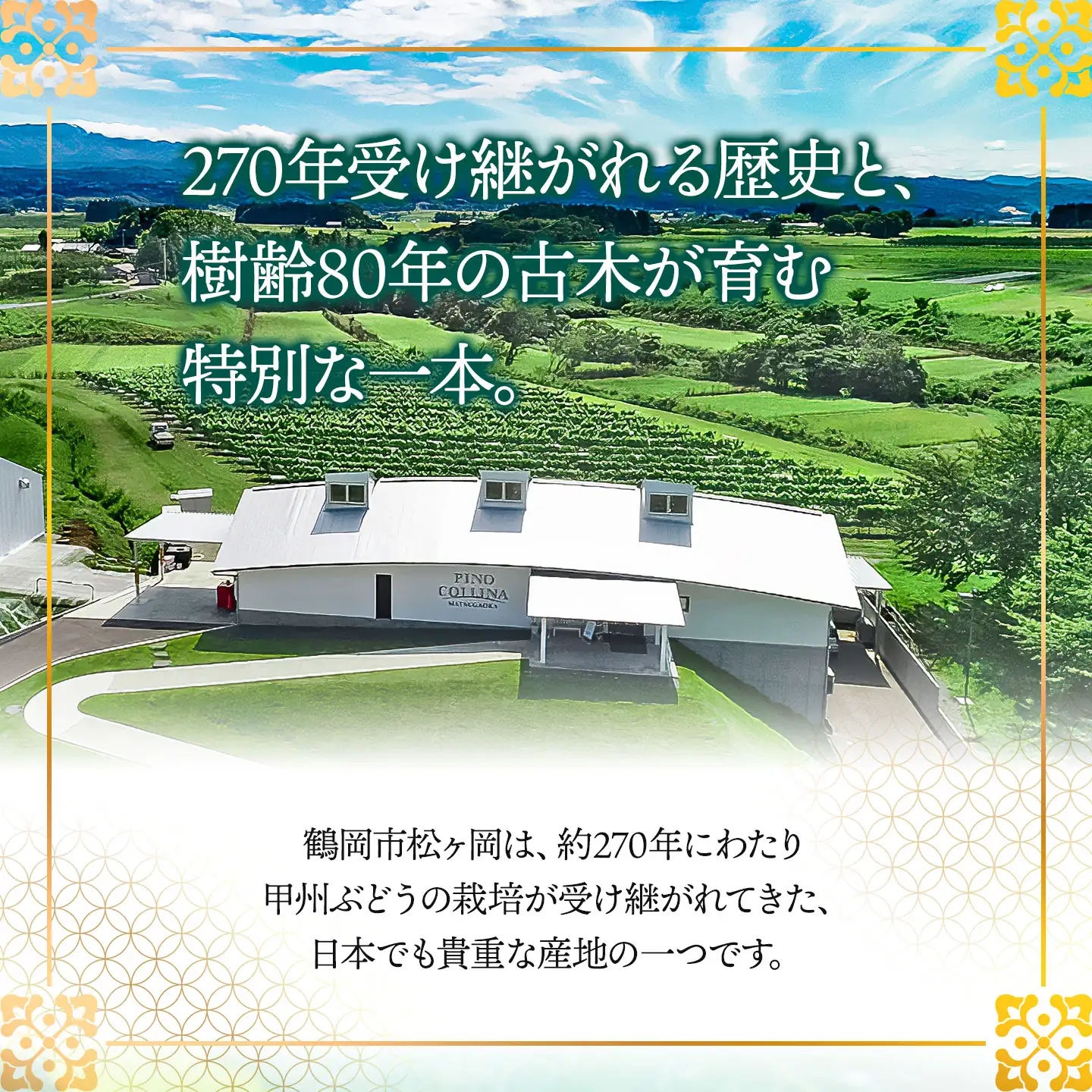 白ワイン　鶴岡甲州　古木／2025　750ml×1本　株式会社エルサン 国産 日本ワイン 