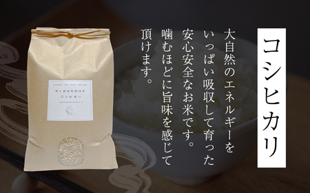 令和8年産先行予約 やくの自然栽培米 コシヒカリ 精米 5kg ゆたか（ゆたか自然農園）