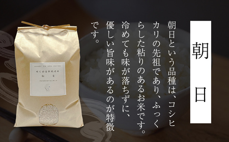 令和8年産先行予約 やくの自然栽培米 朝日 精米 5kg ゆたか（ゆたか自然農園）