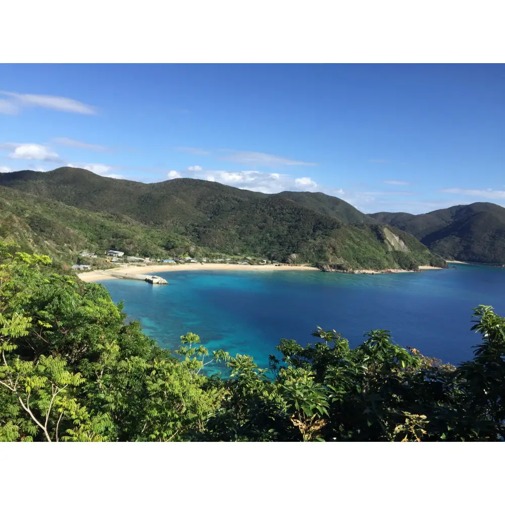 奄美大島・加計呂麻島産　天然にがり（料理用）10本セット
