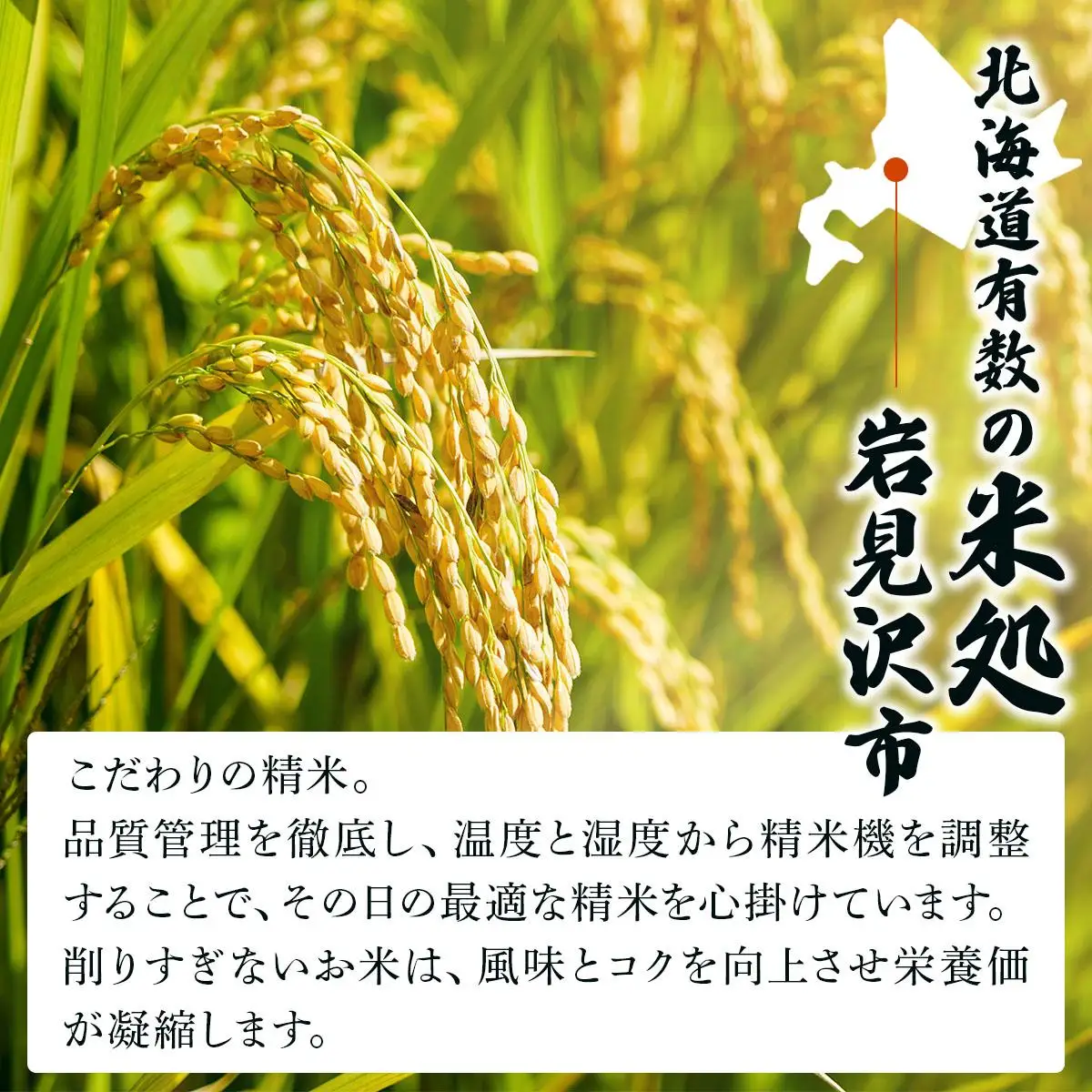 《令和 7 年産》 お米 ゆめぴりか 5kg |  a164-002