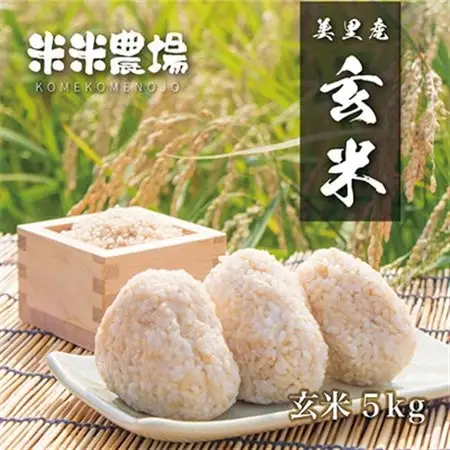 【令和7年産】熊本県美里町のお米ヒノヒカリ玄米 5kg×1袋【1681367】