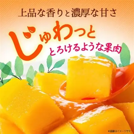 【2027年6月から順次発送・訳あり】アップルマンゴー3.0kg(6～12玉)【配送不可地域：離島】【1681762】
