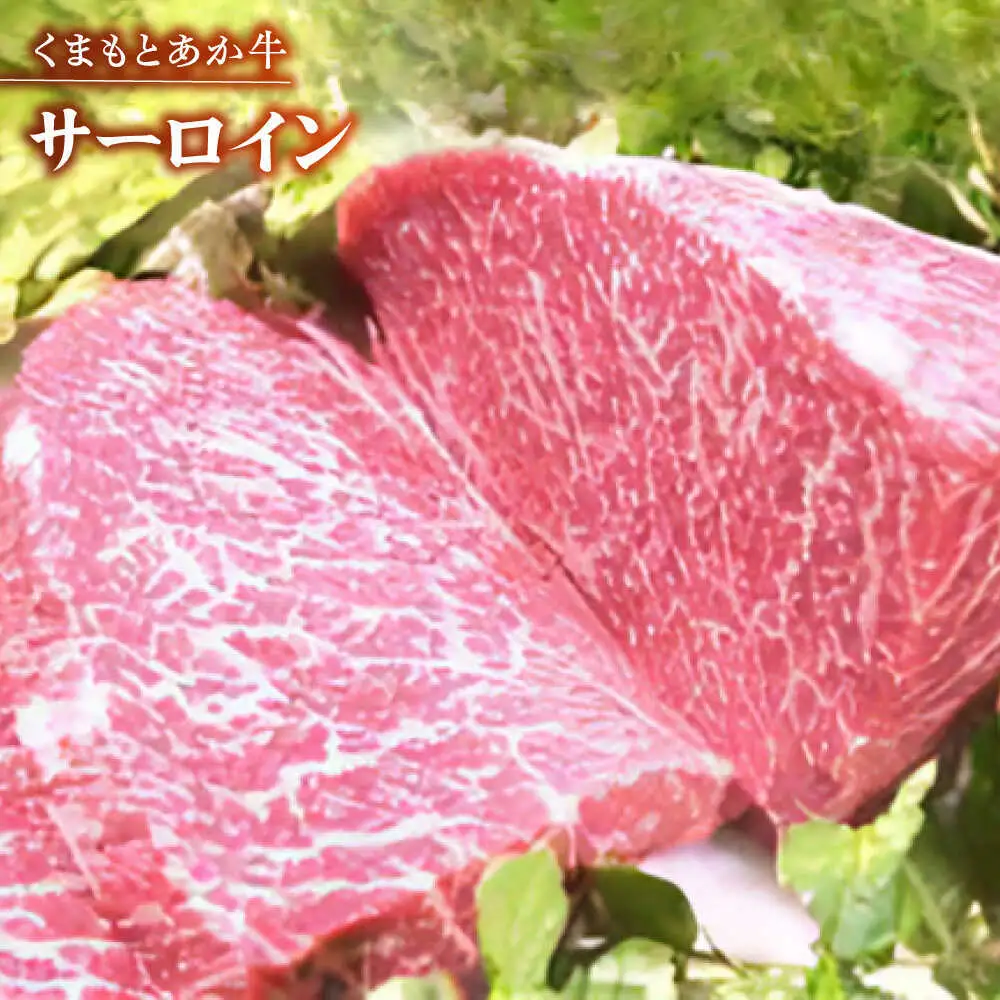 くまもと赤牛特選馬刺しセットC 赤牛[AYDM020]