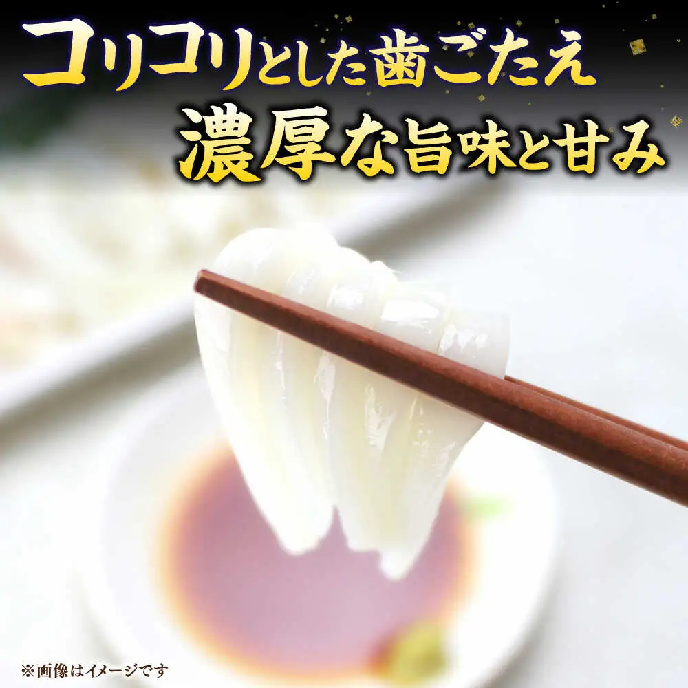 【全12回定期便】旬のイカ刺身1kg前後《壱岐市》【馬渡水産】イカ いか 烏賊 剣先 アオリ あおり スルメ するめ 刺身 刺し身 お刺身 海鮮 魚貝 冷凍配送 産地直送[JAQ033]