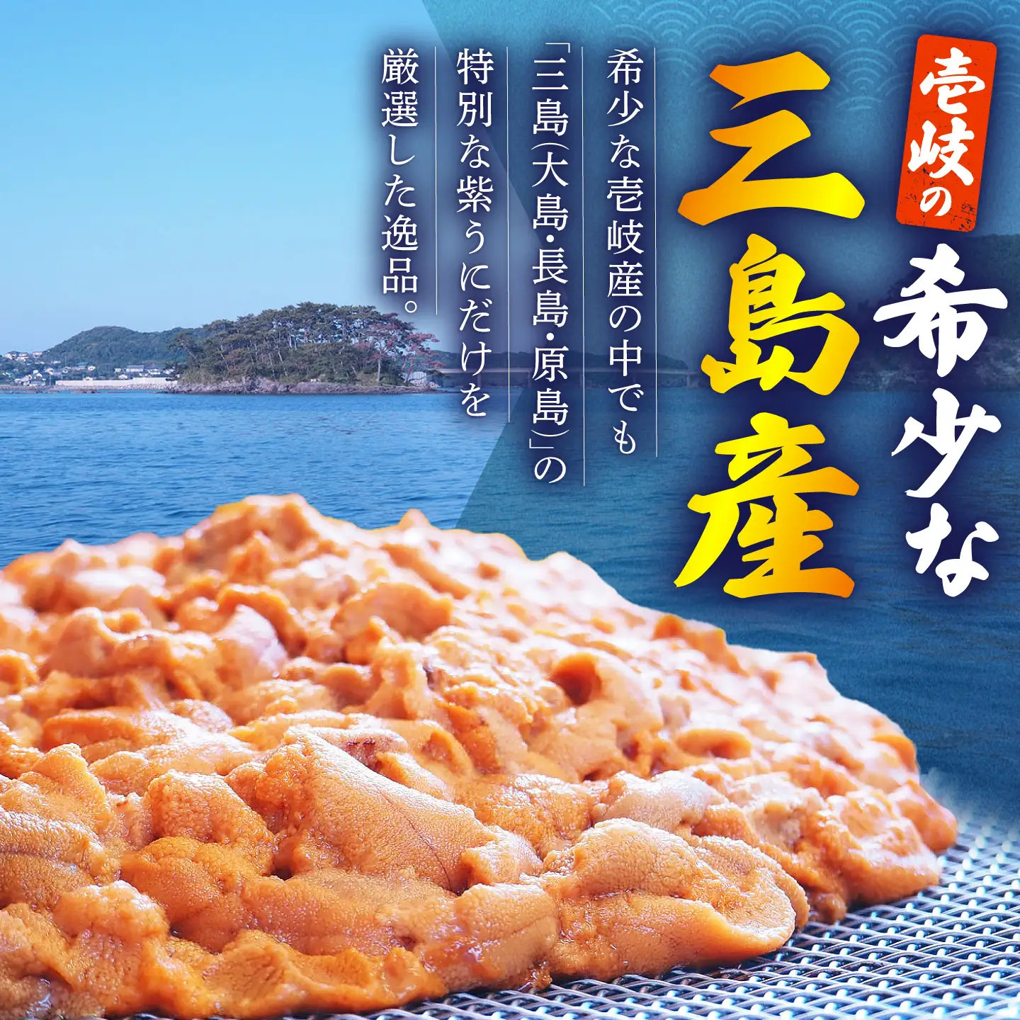 うに 60g 1本 ウニ 壱岐市 JBU022 