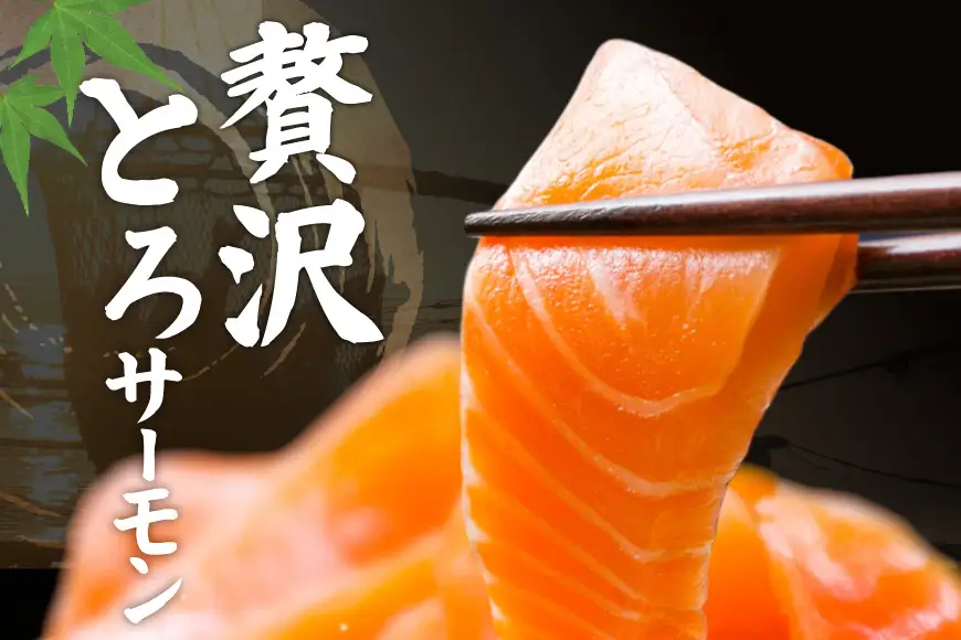 定期便 訳あり とろサーモン 刺身 3パック計600g×6回 総計3.6kg 毎月 6回 定期
