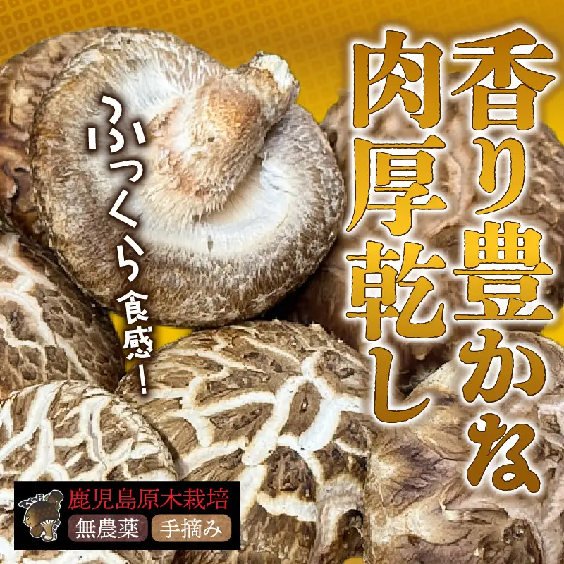 鹿児島 原木 乾燥 しいたけ 『 肉厚 （ 香茹 ） 』 約100g K205-003