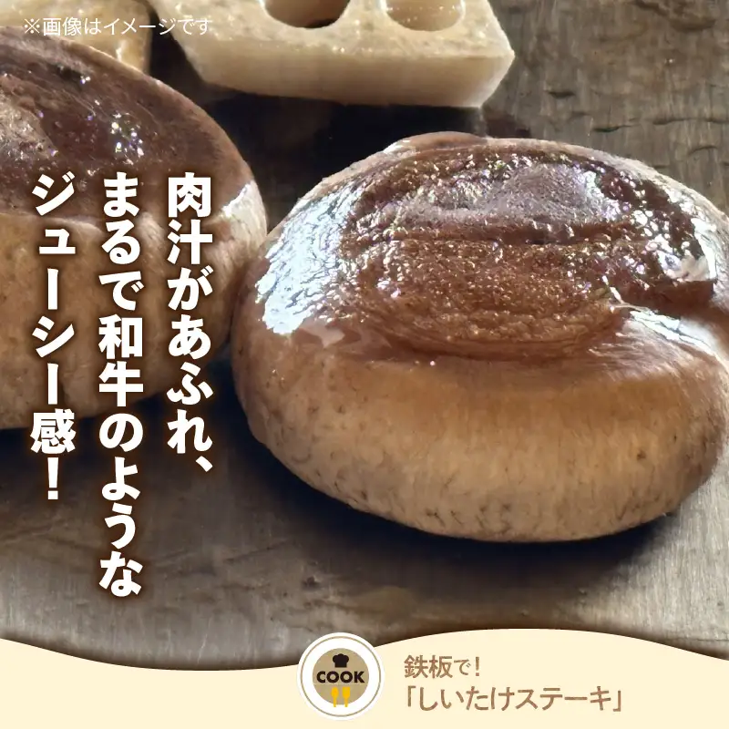 鹿児島 原木 生 しいたけ 約 500g K205-001