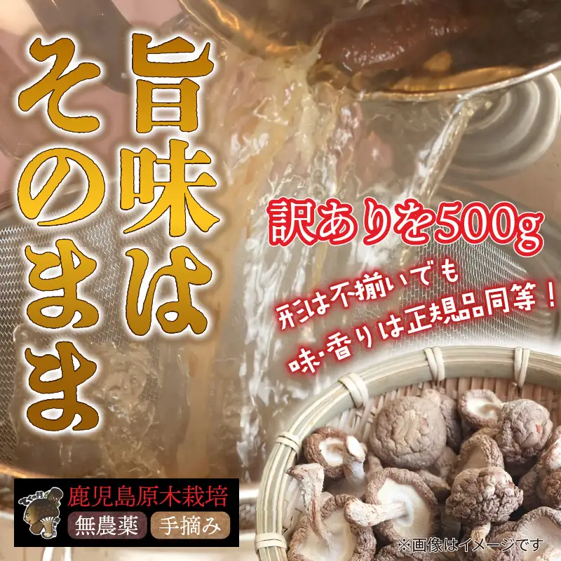 【 訳あり 】  鹿児島 原木 乾燥 しいたけ お得 セット 約500g K205-004