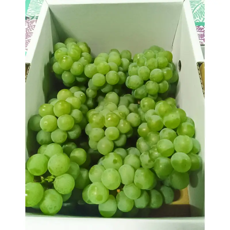 山形産 ナイヤガラ2kg 秀品(6～8房)【令和8年産先行予約】FS25-078