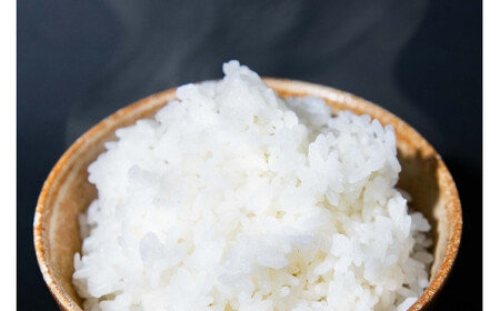 【 令和7年産 】 ななつぼし・あやひめ・きらら397 オリジナルブレンド （ 白米 ） 10kg 米 聖のめぐみ 北海道 鷹栖町 前田農場 米 コメ こめ ご飯 白米 お米 コメ 白米