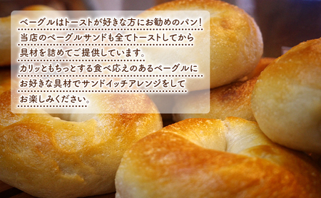 【 定期便 6ヵ月】ベーグル詰め合わせ 12個 パン 国産 冷凍 ベーグル プレーン セット 詰合せ 詰め合わせ にかほ市 秋田 秋田県