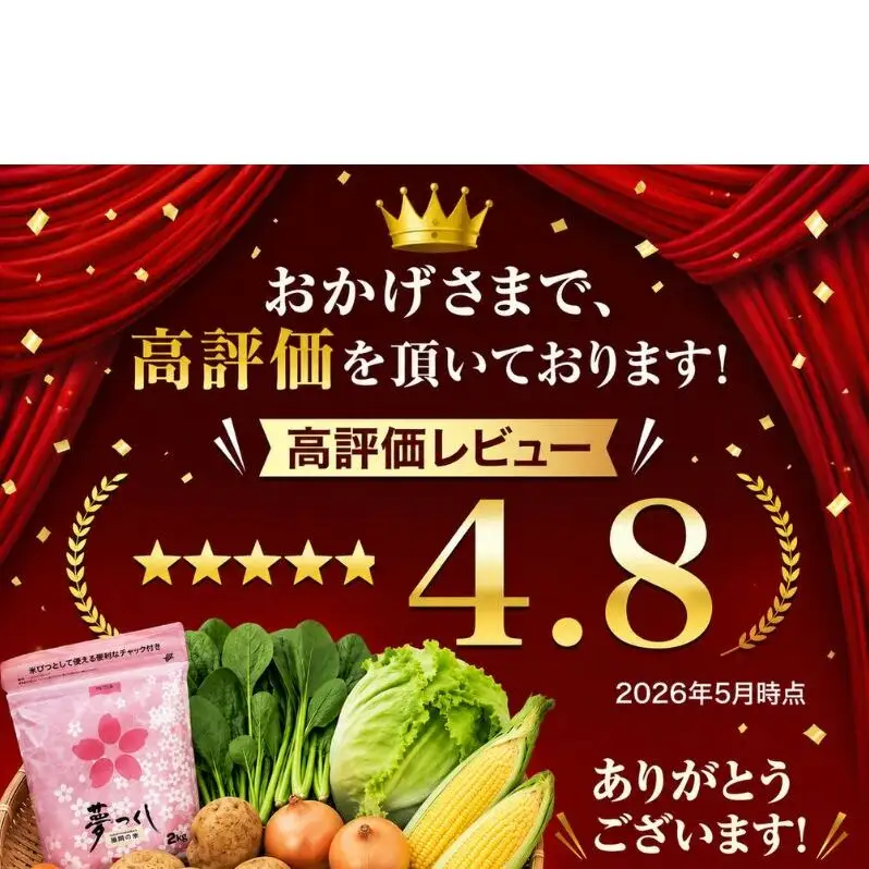 【定期便 年6回】おいしかぁ～便 詰め合わせセット 6ヶ月 お楽しみ ファミリーセット 家族用 野菜 やさい 米 新鮮 新鮮野菜 家庭用 新鮮 福岡県 大刀洗町