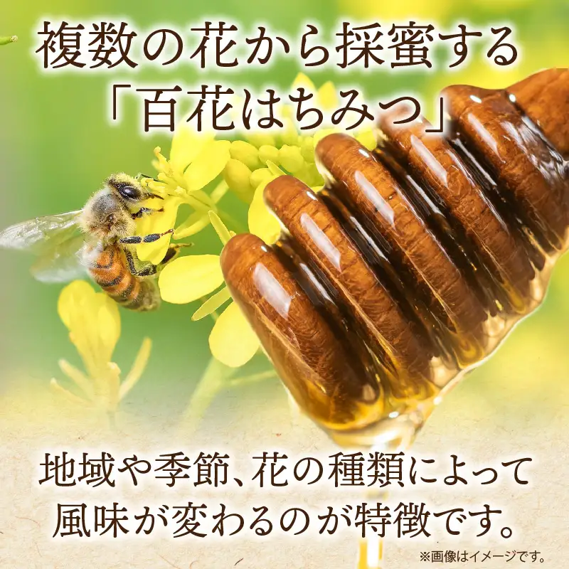 国産百花はちみつ500g×2本 はちみつ 蜂蜜 国産 百花はちみつ 西澤養蜂場