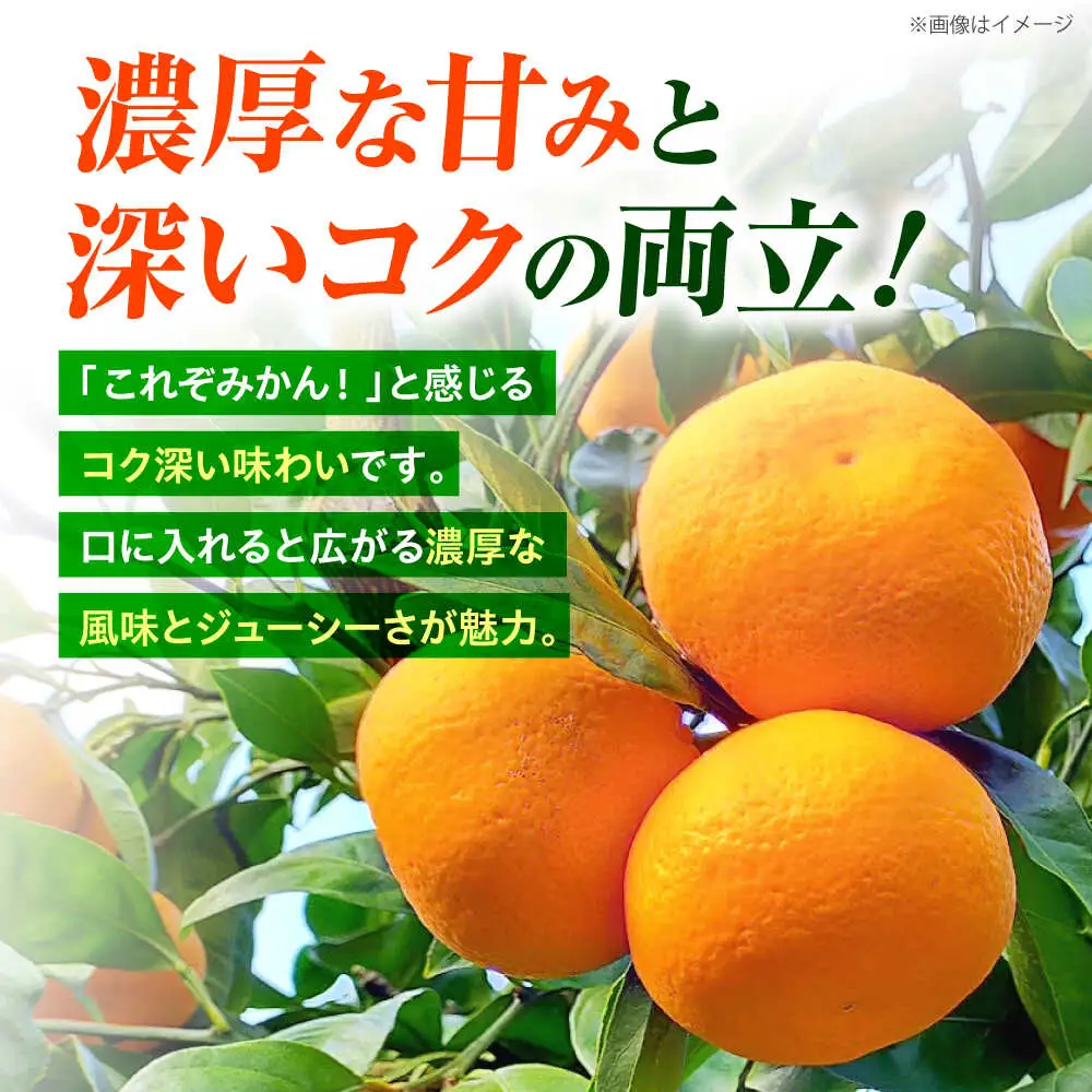 【11月中旬より配送開始】 原口みかん 約5kg （S,Mサイズ混合）＜濱崎ファーム＞ [CGT002] みかん
