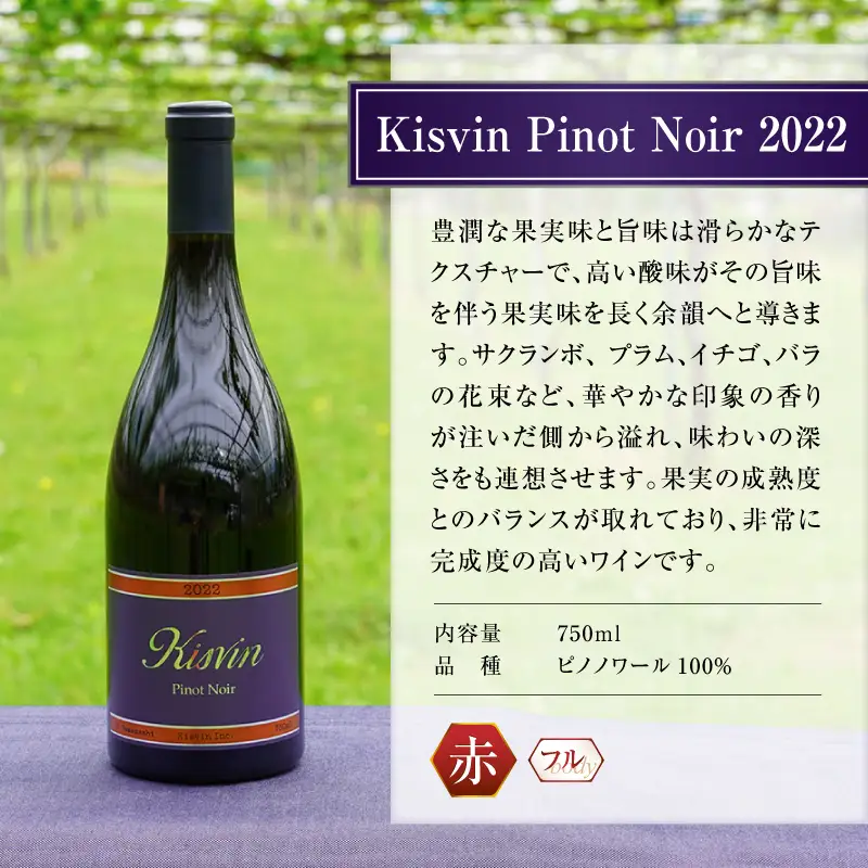 ワイン 【数量限定】Kisvin Winery（キスヴィンワイナリー）赤・白・ロゼワイン3本セット（NS）G48-640