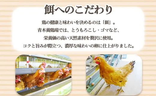 国産　赤卵　60個入｜卵 新鮮 阿久比町