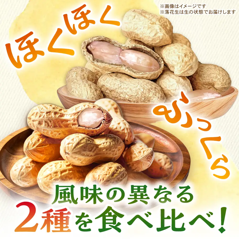 【先行予約】 落花生 2品種 約1kg(500g×2) 多治見市 / ほたるファーム 生落花生 ピーナッツ 豆[TEB013]
