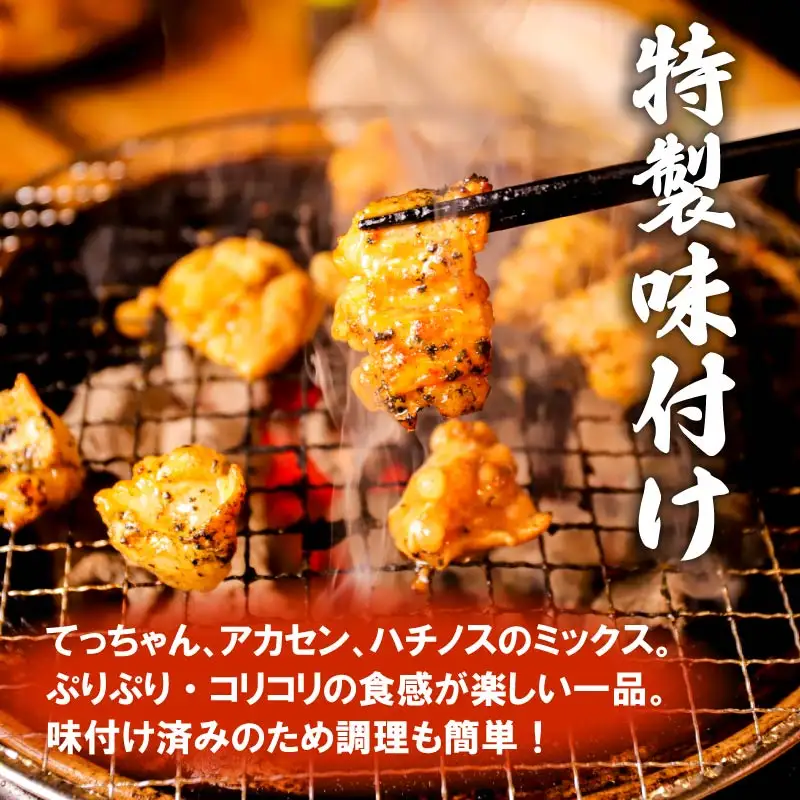 【最短7営業日以内発送】ホルモンミックス 3kg（300g×10P)