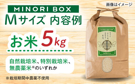 【全3回定期便】糸島産 肉 米 野菜 果物 厳選詰め合わせ MINORI BOX Mサイズ 糸島市 / emma.Inc / 米 肉 野菜 果物 詰め合わせ[AOP012]