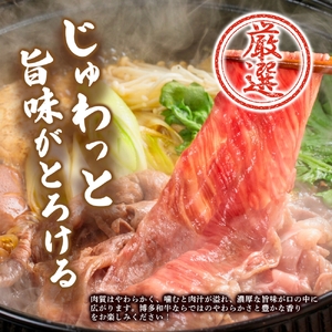 博多和牛切り落とし1kg（500g×2パック） 【CF22】