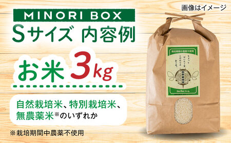 【全6回定期便】糸島産 魚 米 野菜 果物 厳選詰め合わせ MINORI BOX Sサイズ 糸島市 / emma.Inc / 米 魚 野菜 詰め合わせ[AOP021]
