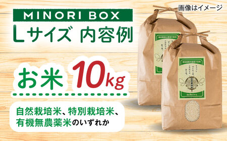 【全3回定期便】糸島産 魚 米 野菜 果物 厳選詰め合わせ MINORI BOX Lサイズ 糸島市 / emma.Inc / 米 魚 野菜 果物 詰め合わせ[AOP028]