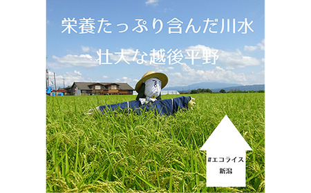 67-21長岡生まれの「防災セット」