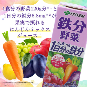 【10営業日以内発送】伊藤園 鉄分野菜 紙パック 200ml 24本 スピード発送 紙パック 野菜ジュース 伊藤園 鉄分野菜 野菜ジュース　013-G-IT013