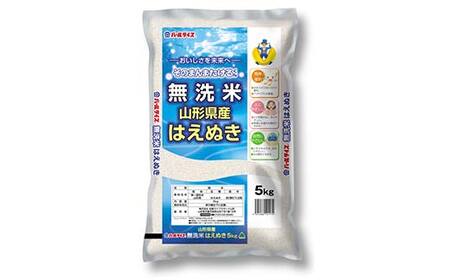 令和7年産 JA 無洗米 はえぬき 10kg (5kg×2袋) 『JA山形おきたま』 山形県産 無洗米 米 精米 山形県 南陽市 [2597]
