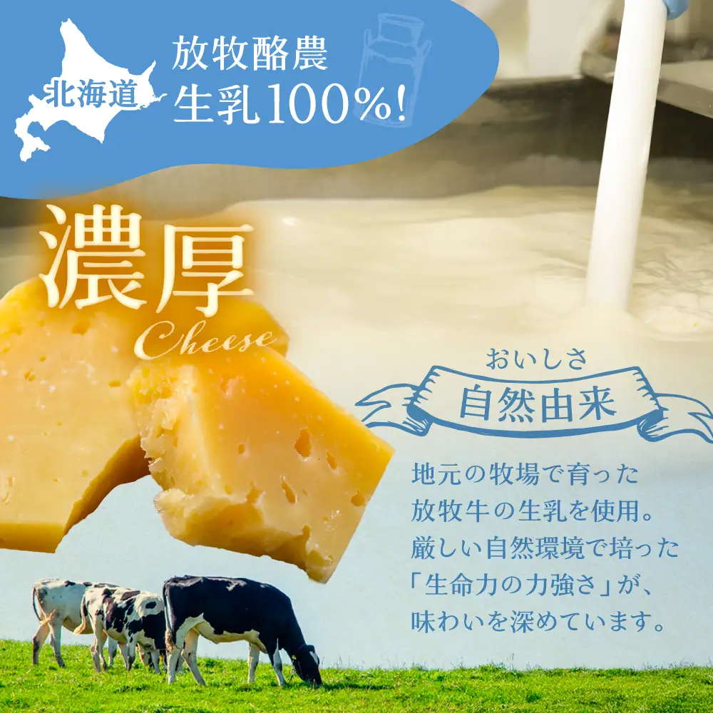 北海道 熟成チーズ 5種詰め合わせ 合同会社あしょろチーズ工房 [BEAU003]