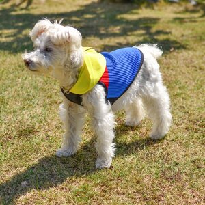 Wants ドッグウェア ビタミンフーディ(ブルー・Sサイズ) パーカー | ニット 五泉ニット 犬 ペット 新潟県 五泉市