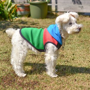 Wants ドッグウェア ビタミンフーディ(グリーン・Sサイズ) パーカー | ニット 五泉ニット 犬 ペット 新潟県 五泉市