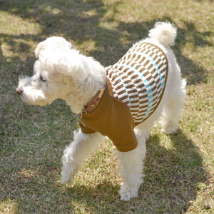 Wants ドッグウェア フライスチェック (BROWN・Sサイズ) | ニット 五泉ニット 犬 ペット 新潟県 五泉市