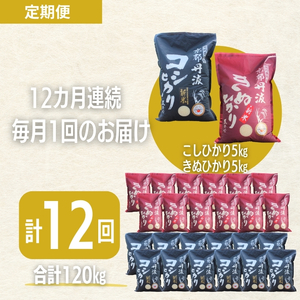 コシヒカリ 食べ比べ 米 お米 定期12回 コシヒカリ