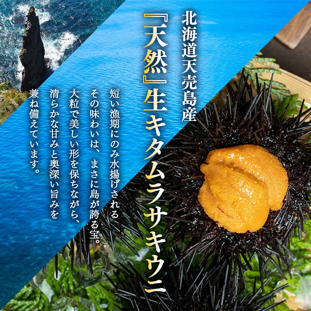 【北海道 天売島産】  天然 キタムラサキうに 塩水パック 100g×1パック【31001】