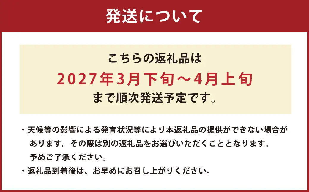 熊本県産 すいか 春のだんらん 6kg以上 スイカ 西瓜 果物 くだもの フルーツ おすすめ ギフト 贈り物 【2027年3月下旬発送開始】