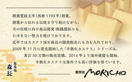【伝統に育まれた本場の長崎カステラ】 10カット （380g） ×3本セット （合計1,140g） カステラ 和菓子 菓子 お菓子 スイーツ デザート セット 九州 長崎県 時津町 常温