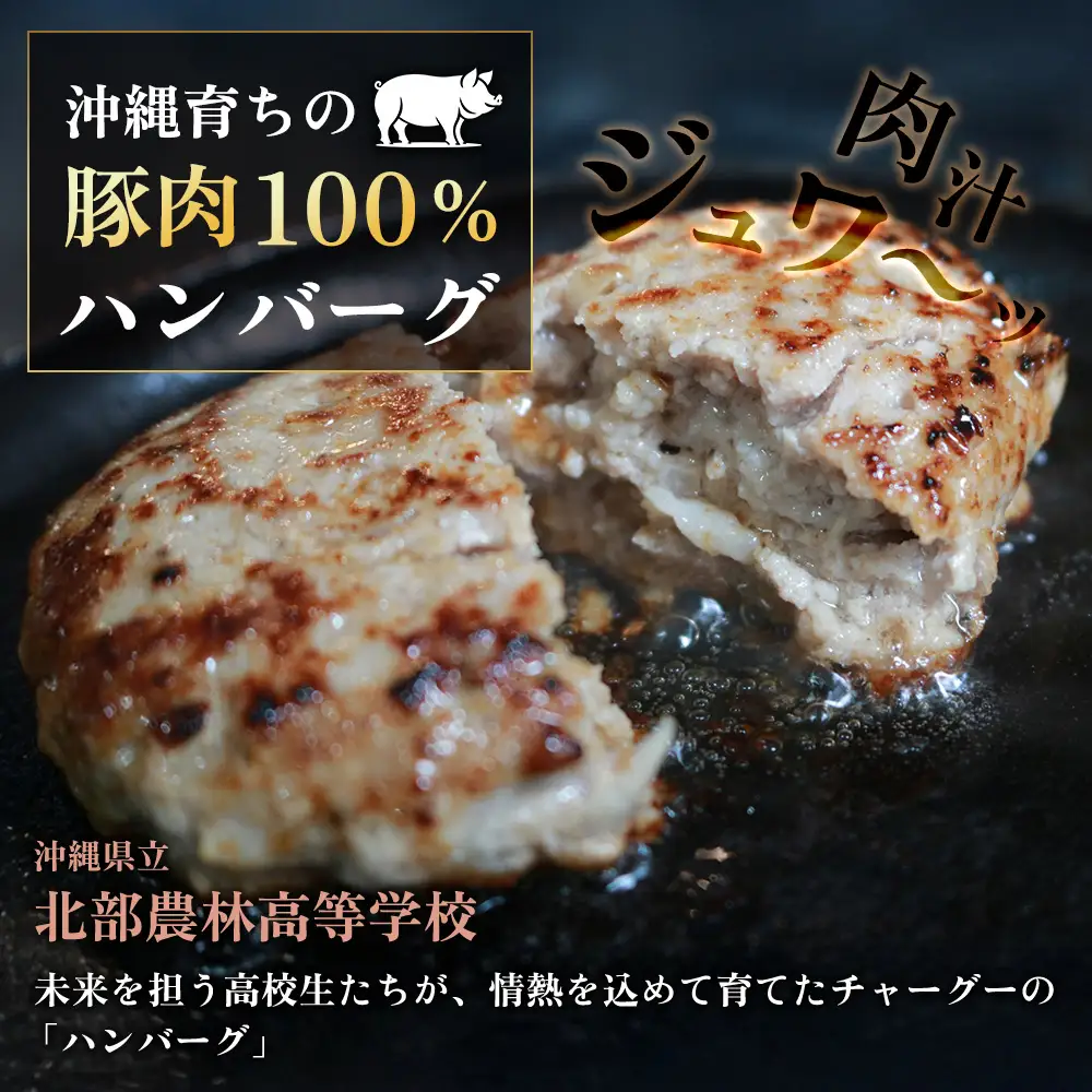 ブランド豚チャーグー100％「ハンバーグ」130g×10個 沖縄 ブランド豚 チャーグー 黒豚 アグー お肉 豚肉 希少 人気 惣菜 おかず 冷凍 応援 名護市 北部農林高校